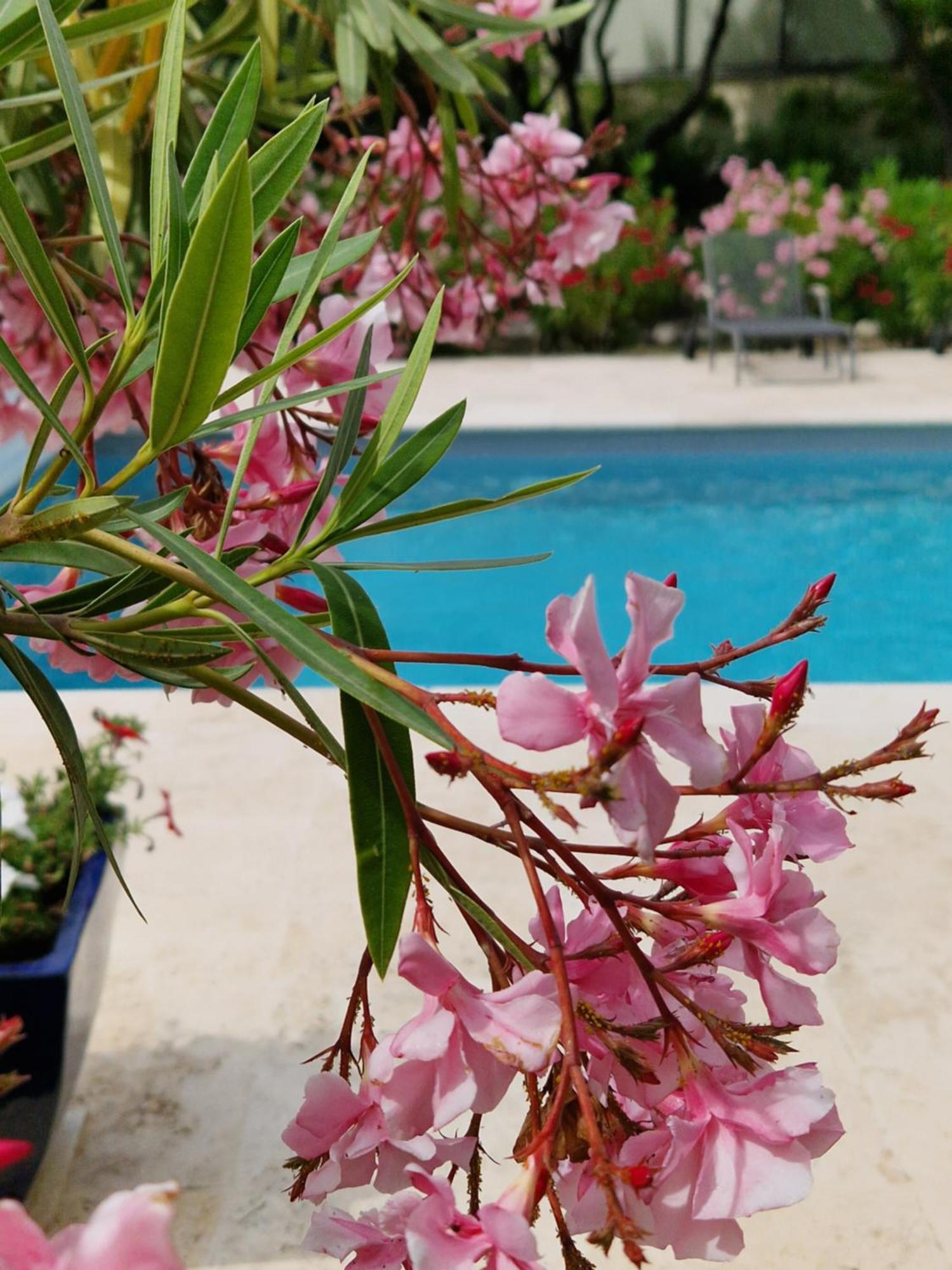 La Cigaliere Villa ลีล-ซูร์-ลา-ซอร์ก ภายนอก รูปภาพ