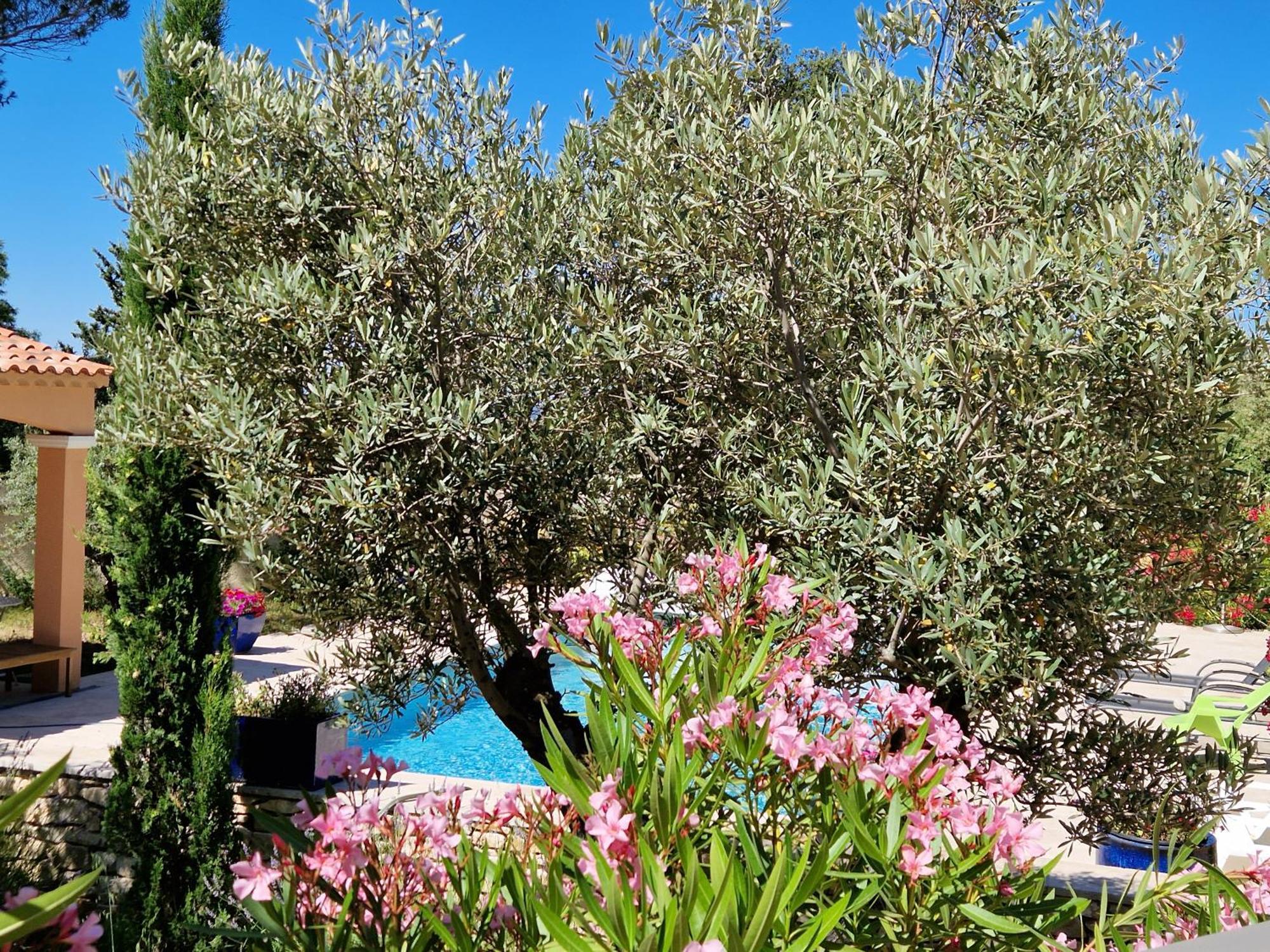La Cigaliere Villa ลีล-ซูร์-ลา-ซอร์ก ภายนอก รูปภาพ
